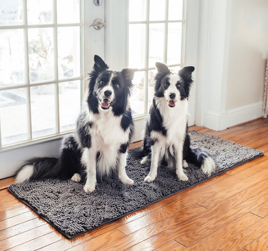 Absorbent Rugs For Dogs