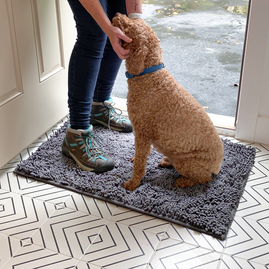 Dog Absorbent Rug