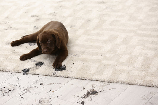 Is The Muddy Mat Safe for Different Flooring Types?